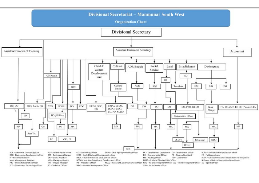 organazation chart